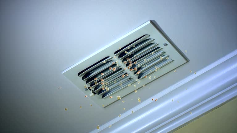 Best Air Vent Cleaning Services  in Dania Beach, FL